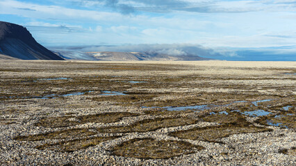 Permafrost Patterned Ground in Svalbard 