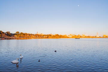 茨城　千波湖の夕景