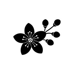 creative details  cherry blossom icon Vector Illustration
