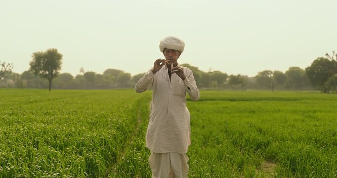 Indian farmer man standing hold wooden flute playing woodwind music outdoor farmland old aged villager male wear white traditional clothes use musical instrument blowing wind in pipe