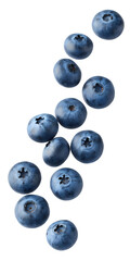 Blueberries falling isolated on transparent background
