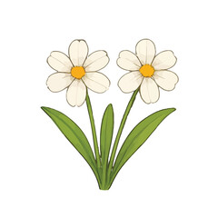 Beautiful hand-drawn botanical flower vector collection in colored pencil and watercolor style. unique types of flowers, perfect for spring-themed designs, greeting cards, wedding invitations, an