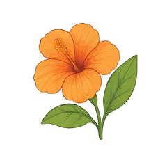 Beautiful hand-drawn botanical flower vector collection in colored pencil and watercolor style. unique types of flowers, perfect for spring-themed designs, greeting cards, wedding invitations, an