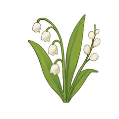 Beautiful hand-drawn botanical flower vector collection in colored pencil and watercolor style. unique types of flowers, perfect for spring-themed designs, greeting cards, wedding invitations, an