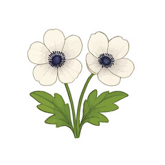 Beautiful hand-drawn botanical flower vector collection in colored pencil and watercolor style. unique types of flowers, perfect for spring-themed designs, greeting cards, wedding invitations, an