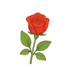 Beautiful hand-drawn botanical flower vector collection in colored pencil and watercolor style. unique types of flowers, perfect for spring-themed designs, greeting cards, wedding invitations, an