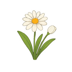 Beautiful hand-drawn botanical flower vector collection in colored pencil and watercolor style. unique types of flowers, perfect for spring-themed designs, greeting cards, wedding invitations, an