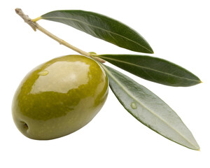 Fresh green olive with leaves isolated on transparent background