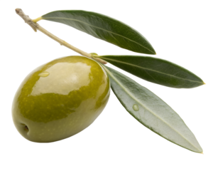 Fresh green olive with leaves isolated on transparent background