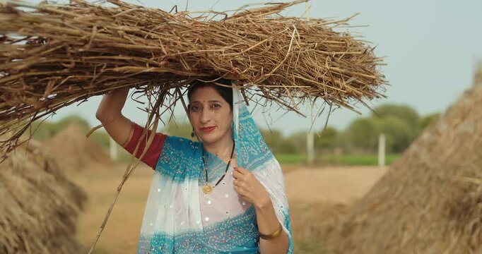 Indian gen x adult villager woman lady wear saree standing looking at camera carrying dry grass on head outdoor asian mature farmer female hold wheat bunch staring cam outside farmland