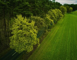 ecological land in the Polish countryside, ecological crops, green farmland from a drone, green meadow from a bird's eye view film photo of a green meadow, green grass from above, forest from a drone