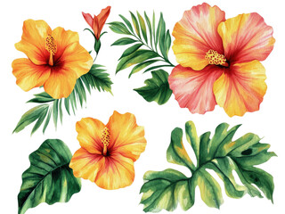 Vibrant Watercolor Hibiscus Flowers and Lush Tropical Foliage: A Botanical Masterpiece