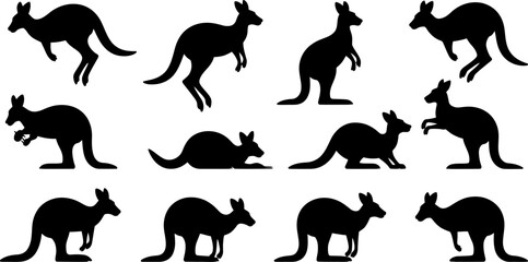 Kangaroo Silhouette Collection