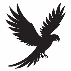 Obraz premium A parrot soaring high wings wide and tail feathers trailing silhouette