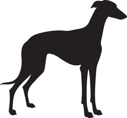Fototapeta premium Spanish Greyhound dog silhouette dog breeds pet animals