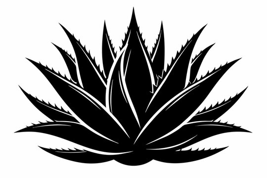 black aloe vera plant graphic clip art preview