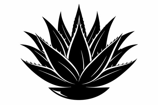 recommend clip art: aloe vera plant silhouette line art vector illustration