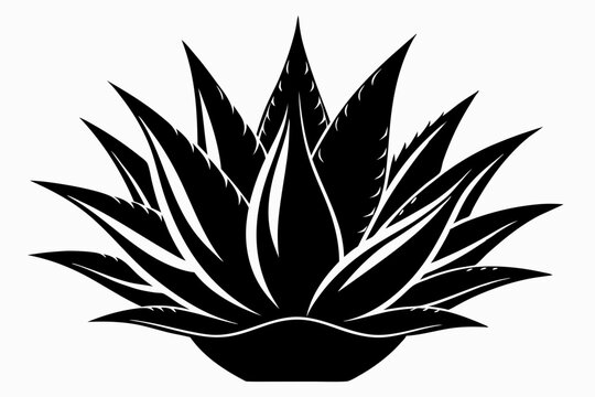 black agave plant silhouette on white background clip art preview