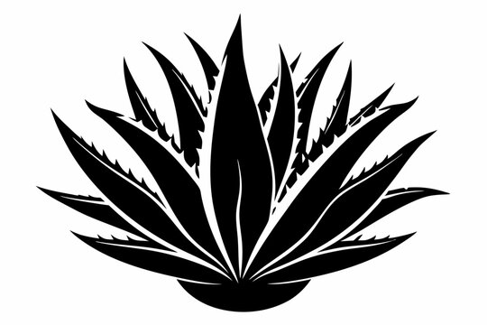 recommend clip art: aloe vera plant silhouette line art vector illustration