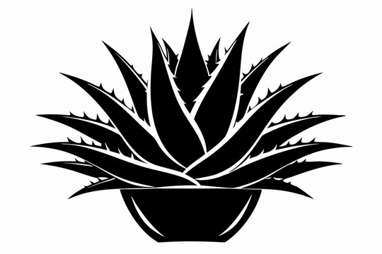 black aloe vera plant in a pot clip art preview
