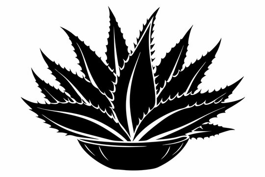 black aloe vera plant in a pot clip art preview