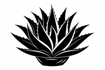 aloe vera plant silhouette line art vector illustration