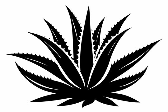 black aloe vera plant silhouette clip art preview