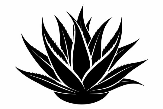recommend clip art: aloe vera plant silhouette line art vector illustration