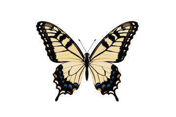 Fototapeta premium butterfly isolated on white background PNG Image
