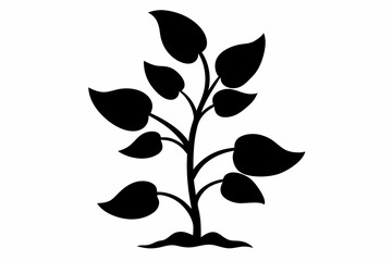 bean plant silhouette line art vector illustration © kanchanrani