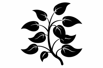 bean plant silhouette line art vector illustration