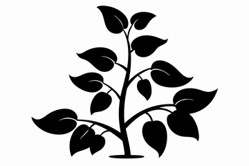 bean plant silhouette line art vector illustration