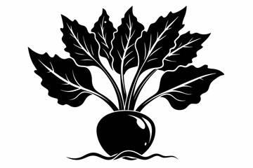 beetroot plant silhouette line art vector illustration