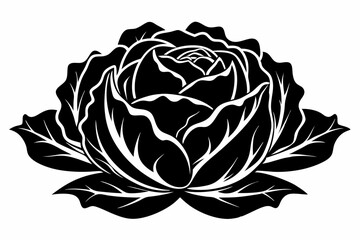 cabbage plant silhouette line art vector illustration