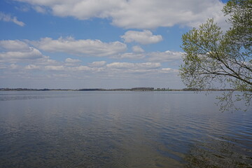 Tree branch and reservoir in Goczalkowice town at Silesian district in Poland