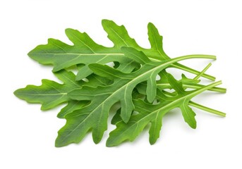 Close up of fresh arugula leaves isolated on a white background 