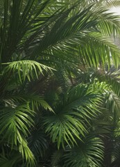 Fototapeta premium Intricate palm fronds, vibrant greens, sunlight dappling , paradise, flora