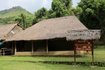 Aerial view of traditional Bale Balaq houses in a village setting in Indonesia, surrounded by lush greenery. Unique longhouse architecture with thatched roofs.