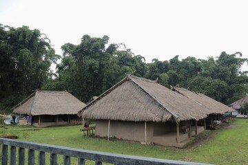 Aerial view of traditional Bale Balaq houses in a village setting in Indonesia, surrounded by lush greenery. Unique longhouse architecture with thatched roofs.