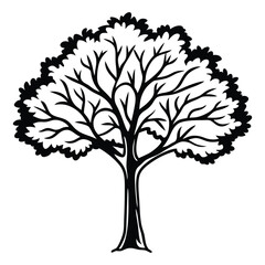 Obraz premium silhouette tree. isolated tree silhouette