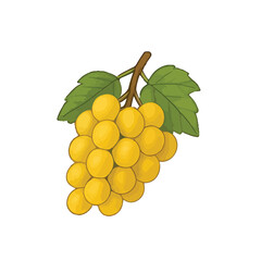 Colorful hand-drawn fruit vector collection featuring fresh and juicy fruits in a realistic sketch style. Ideal for healthy lifestyle designs, packaging, recipe books, and educational materials