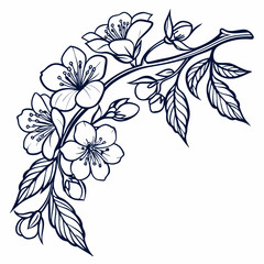 branch of a cherry tree