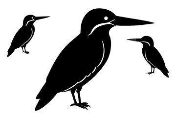 Fototapeta premium kingfisher bird vector silhouette illustration on white background
