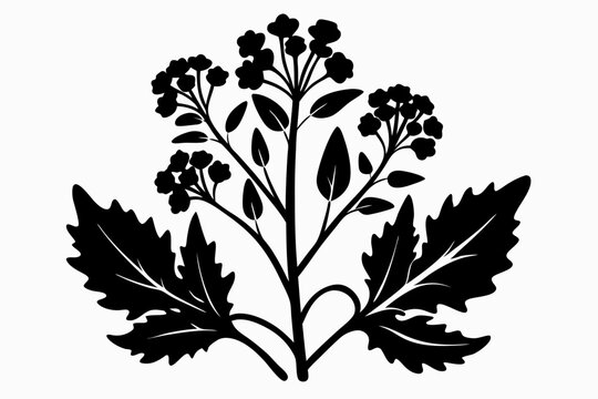 recommend clip art: mustard plant silhouette line art vector illustration