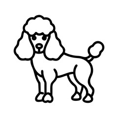 Poodle dog breed illustration vector drawing cute pet animal clip art design graphic black and white art