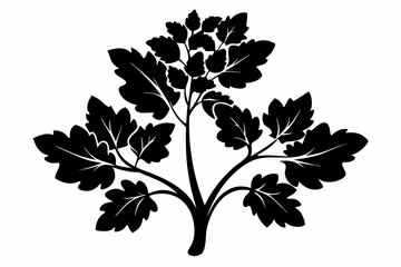mustard plant silhouette line art vector illustration
