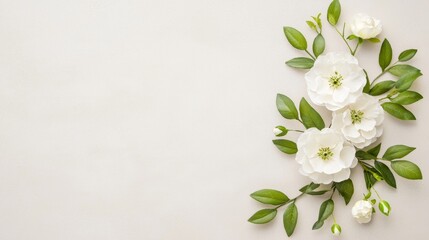 Fototapeta premium Minimalist Floral Arrangement of White Blooms and Green Leaves on Neutral Background
