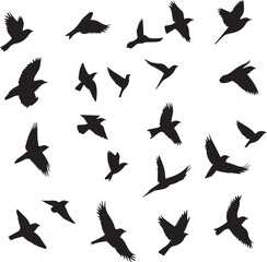 set of silhouettes of birds