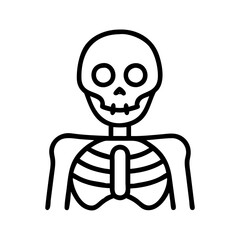 Skeleton outline drawing vector illustration for halloween anatomy and medical design concept