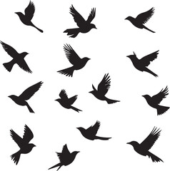 silhouettes of birds